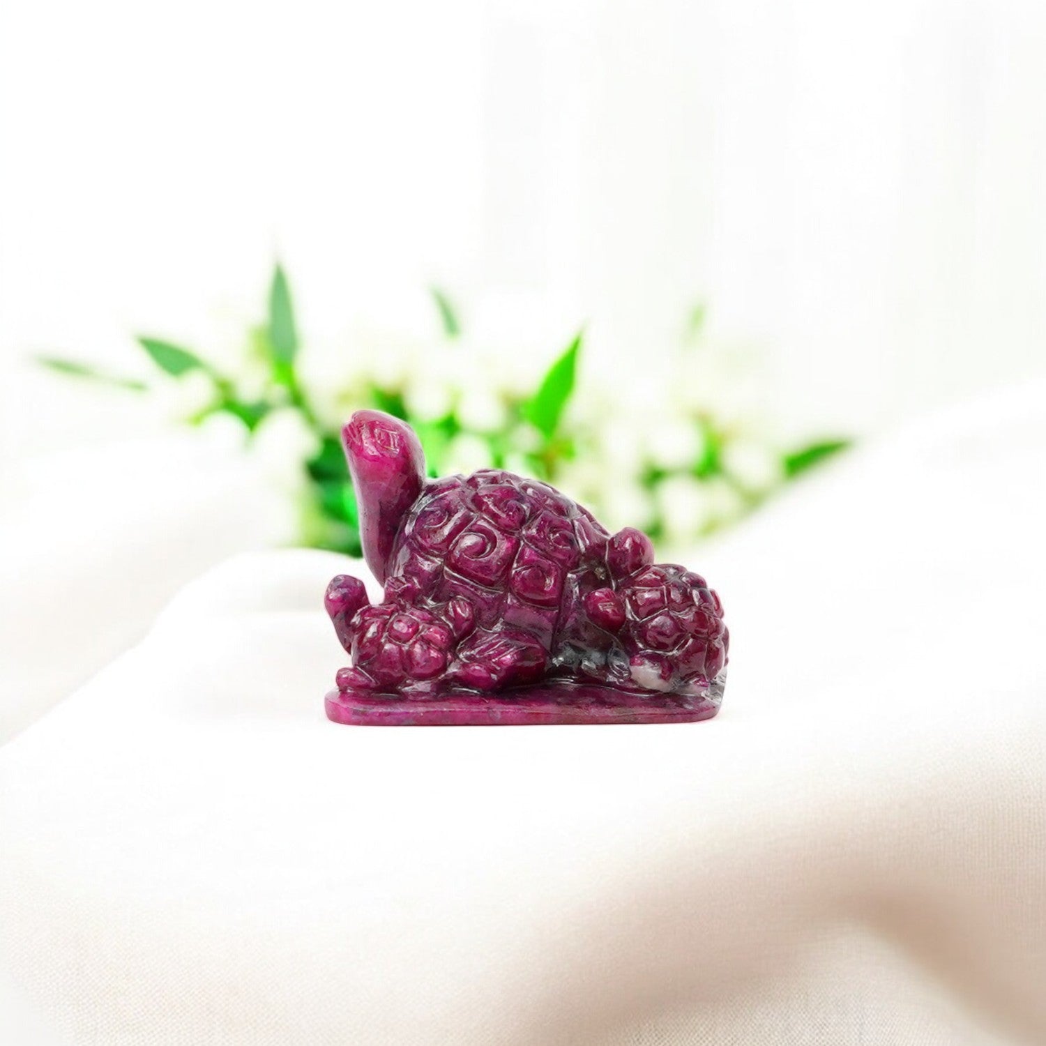 Tortoise Family in Ruby