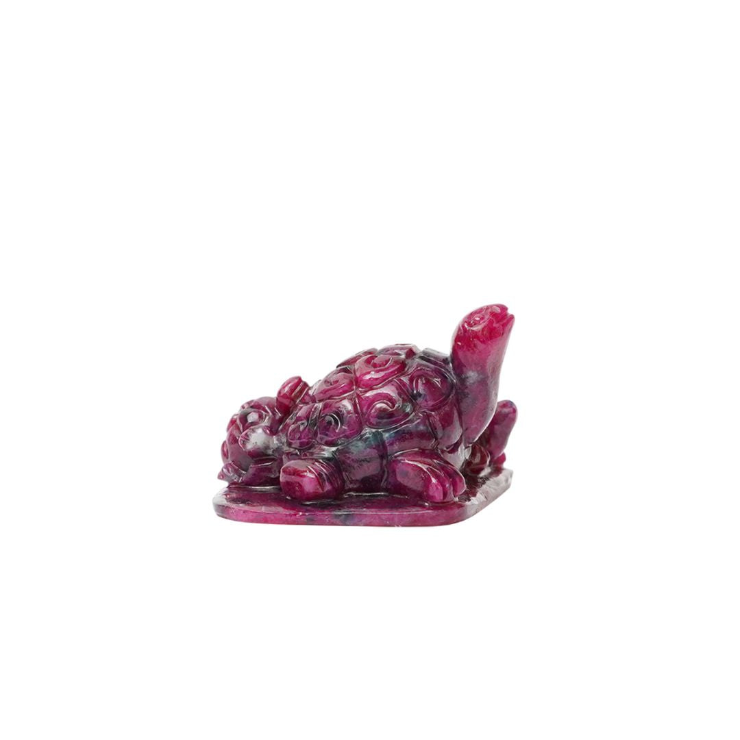 Tortoise Family in Ruby