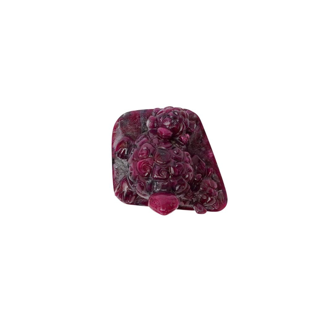 Tortoise Family in Ruby