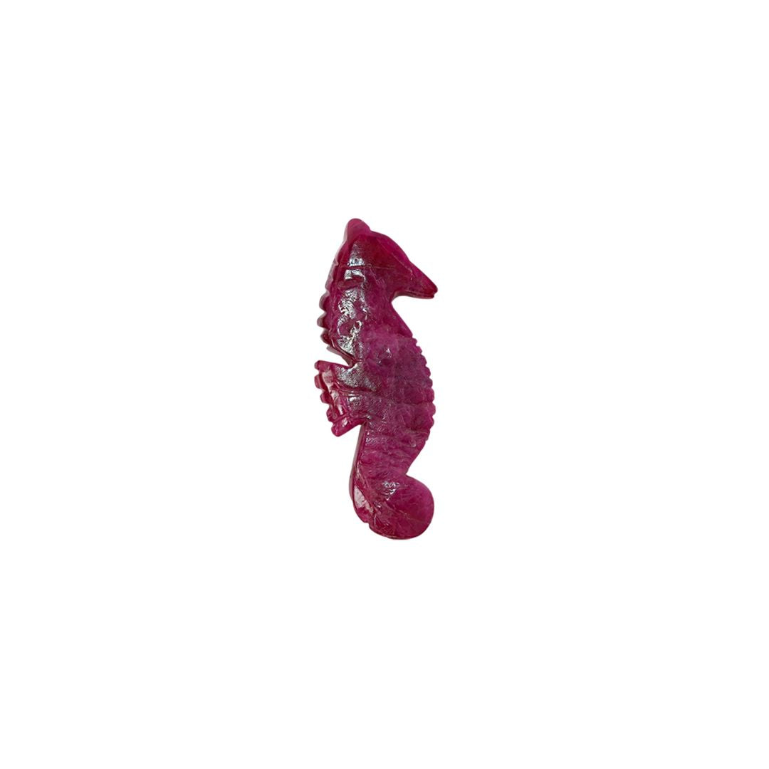 Sea Horse Carved In Ruby